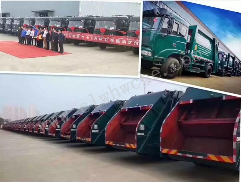/202505/1747021371_765a596a10d421dba99c.jpg